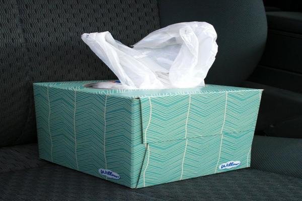 Store the plastic bags in tissue box