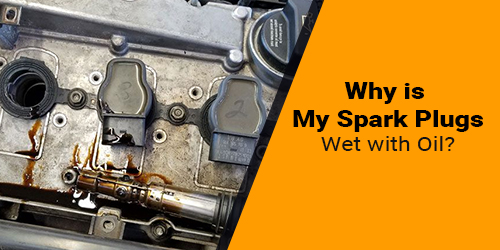 Why-is-My-Spark-Plugs-Wet-with-Oil