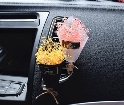 Beautify Your Car Dashboard with Dolls or Plants  