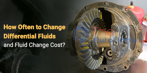 How-Often-to-Change-Differential-Fluids-and-Fluid-Change-Cost