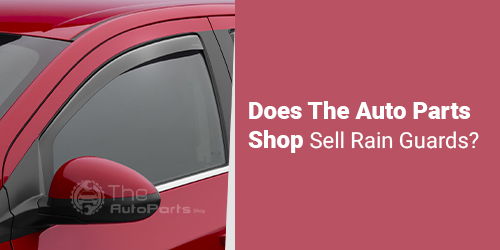Does-The-Auto-Parts-Shop-Sell-Rain-Guards