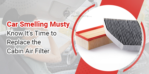 Car-Smelling-Musty-Know-Its-Time-to-Replace-the-Cabin-Air-Filter