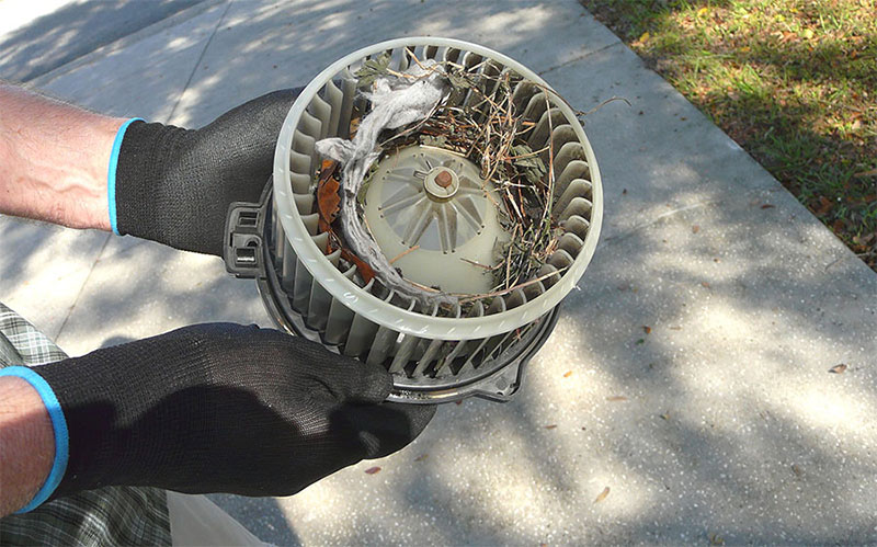 How Much Does Blower Motor Replacement Cost?